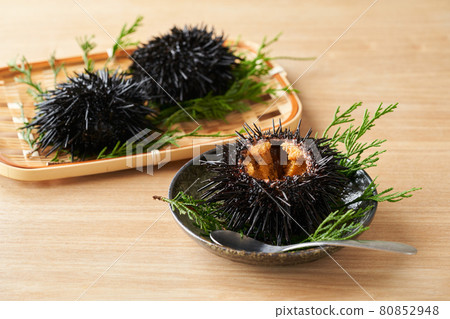 Purple sea urchin on a plate Purple sea urchin on a plate 80852948