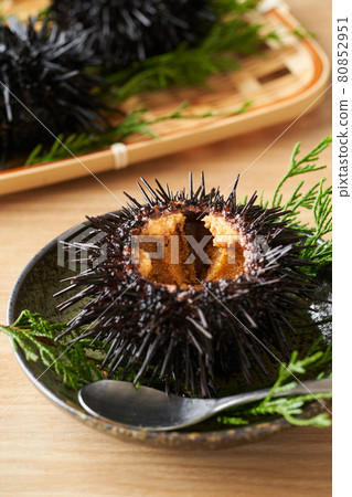 Purple sea urchin on a plate 80852951