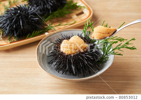 盤子上的紫色海膽 80853012