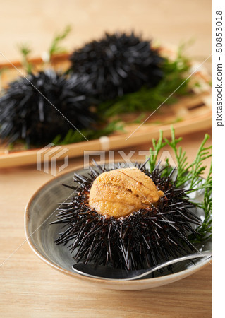 Purple sea urchin on a plate 80853018