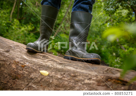 A man in rubber boots is standing on a fallen tree A man in rubber boots is standing on a fallen tree 80853271