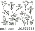 Halzion line drawing 80853533