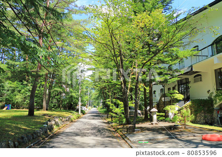 白馬村米索拉諾別墅 80853596