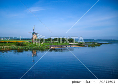 Water wheel and sunflower 80853603