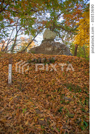 長瀞的秋天，堀島公園的風景，水神社，晨光下的秋葉 80853690