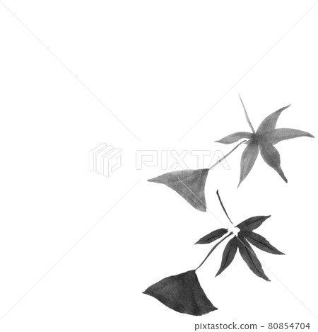 銀杏與楓葉插畫（手繪水墨插畫） 80854704