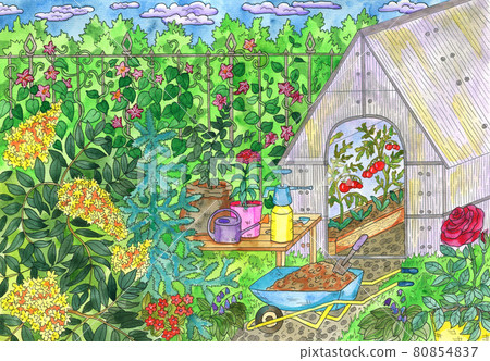 Watercolor art painting with flowers and vintage garden objects, greenhouse and gardening tools. Hand drawn illustration, summer background with gardening concept 80854837