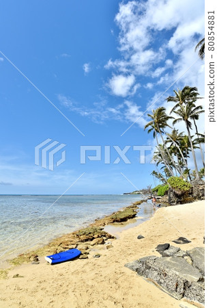 Holidays in Hawaii 80854881
