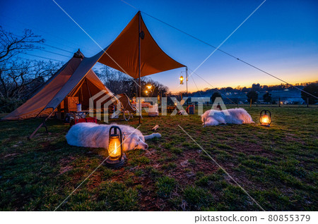 大狗和營地日落 80855379