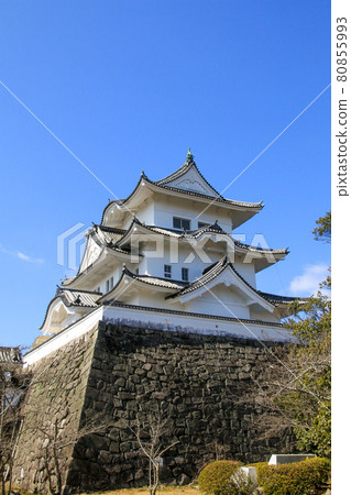 Iga Ueno Castle Iga Ueno Castle 80855993