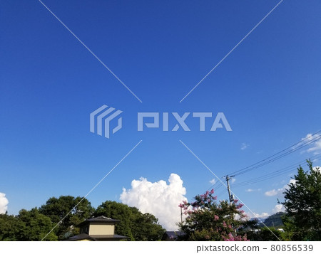 Summer Yonezawa summer vacation Summer Yonezawa summer vacation 80856539