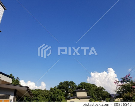 夏季米澤暑假 夏季米澤暑假 80856543