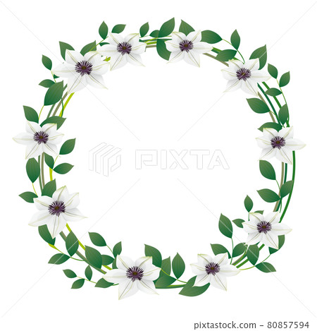 Clematis flower illustration frame Clematis flower illustration frame 80857594