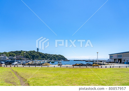 [Kanagawa Prefecture] Enoshima Sea Candle seen from Katase fishing port 80857957
