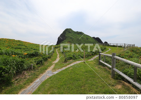 Niigata Sado Onogame(飛島甘草和步行道) Niigata Sado Onogame(飛島甘草和步行道) 80858097