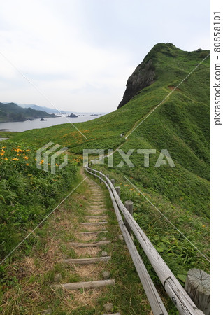 Niigata Sado Onogame (Tobishima licorice and walking path) Niigata Sado Onogame (Tobishima licorice and walking path) 80858101