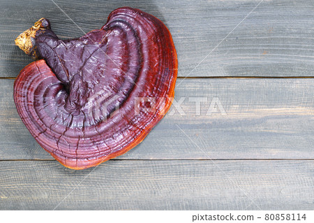 Ganoderma lucidum mushroom on wooden floor 80858114