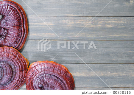 Ganoderma lucidum mushroom on wooden floor 80858116