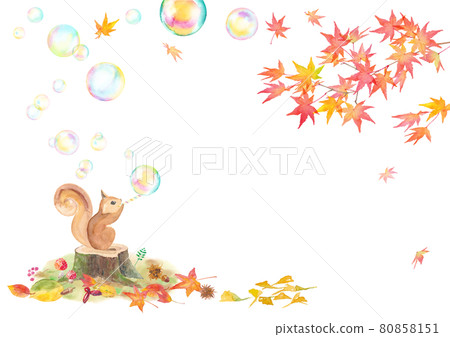 Watercolor illustration of squirrels blowing soap bubbles and autumn leaves. Autumn banner background. Vector data. 80858151