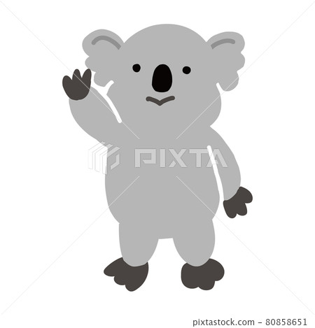 Vector image of koala, waving pose, whole body 80858651