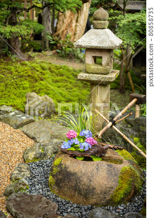 京都精純院的花水 京都精純院的花水 80858735