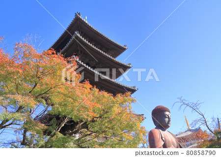 Yagatoyama Kosho-ji Temple 秋天 80858790