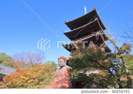 Yagatoyama Kosho-ji Temple 秋天 80858791