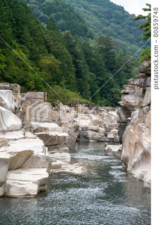 [長野縣]睡眠床（八月） 80859748