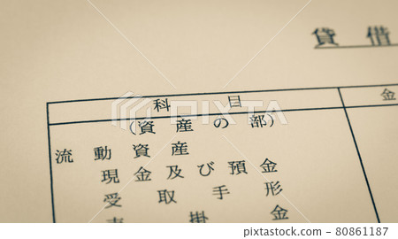Assets Section Balance Sheet Settlement Subject Assets Section Balance Sheet Settlement Subject 80861187