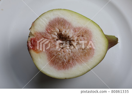 收穫無花果後立即採取 80861335