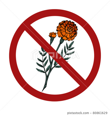 Hand drawn sketch of marigolds in a prohibition sign. Danger of allergies. It is forbidden to pick flowers. Celebration events are prohibited. Hand drawn sketch of marigolds in a prohibition sign. Danger of allergies. It is forbidden to pick flowers. Celebration events are prohibited. 80861629