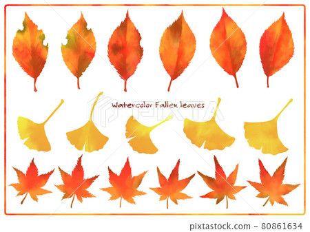 Fallen leaves autumn leaves watercolor... - Stock Illustration ...