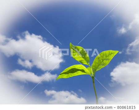 拍攝和藍天 80861815