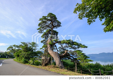 Exhilarating Lake Tazawa Drive Akita Prefecture 80862081