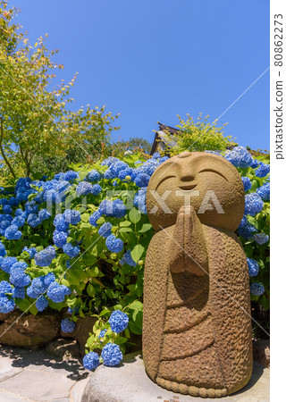 Happiness Jizo of Hydrangea Temple Happiness Jizo of Hydrangea Temple 80862273