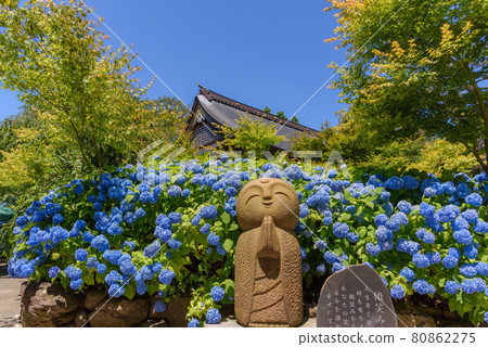 Happiness Jizo of Hydrangea Temple 80862275