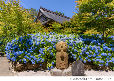 Happiness Jizo of Hydrangea Temple 80862276