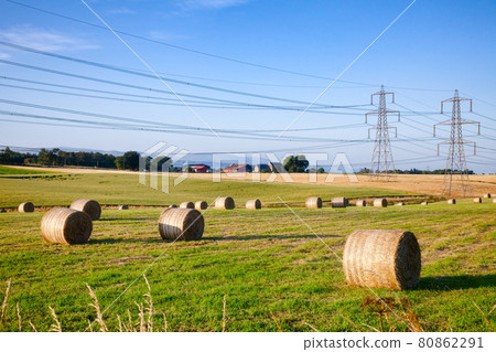 Summer rural landscape with silage bales on a field in Scotland UK 80862291