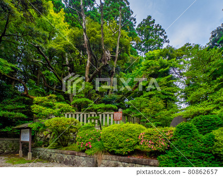 Shinto shrine (Yahiko Shrine, Yahiko Village, Niigata Prefecture) 80862657