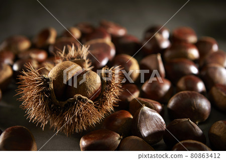 Chestnut with squid Autumn taste image 80863412