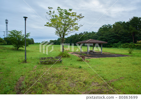 岩手縣大型公園 80863699