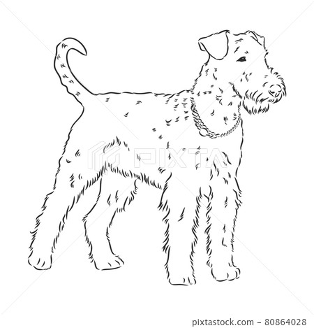 airedale coloring pages