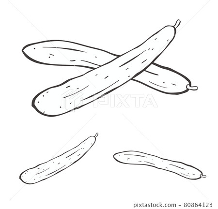 1 or 2 cucumbers lined up handwritten illustration material 80864123