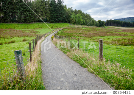 Public rights of way path through pasture in rural Scotland UK 80864421