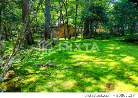 Garden of Saihoji Temple (moss temple) in Kyoto Garden of Saihoji Temple (moss temple) in Kyoto 80865127