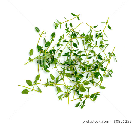 fresh thyme or Lemon thyme leaf isolated on a white background ,Green leaves pattern 80865255