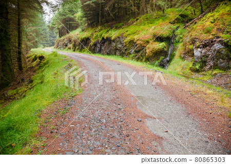 Scenic road through fir forest in Scottish Highlands Scenic road through fir forest in Scottish Highlands 80865303
