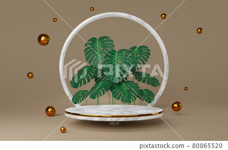 podium marble empty with leaf monstera in brown composition for modern stage display ,abstract showcase background ,Concept 3d illustration or 3d rendering 80865520