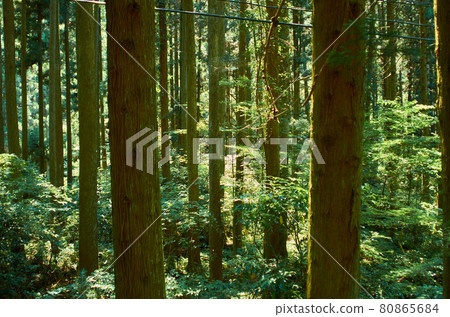 Hanaine Canyon Hanaine Canyon 80865684