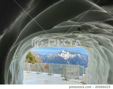 [Toyama / Nagano] Tateyama Kurobe Alpine Route-Snow Tunnel- 80866029
